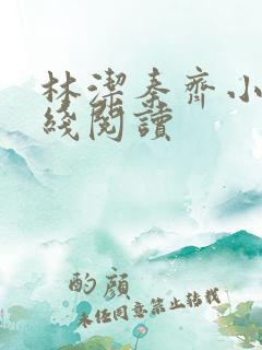 林洁秦齐小说在线阅读