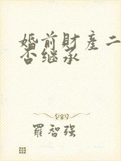 婚前财产二婚能否继承