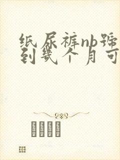 纸尿裤nb号穿到几个月可以