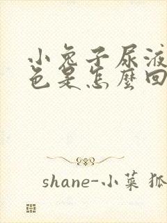 小兔子尿液乳白色是怎么回事