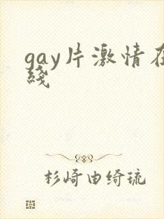 gay片激情在线