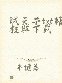 贼天子txt精校版下载