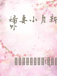 娇妻小月新婚番外