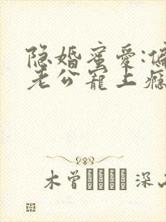 隐婚蜜爱:偏执老公宠上瘾小说