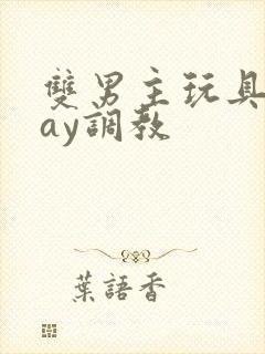 双男主玩具play调教