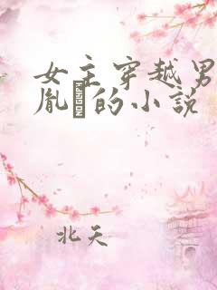 女主穿越男主是胤礽的小说