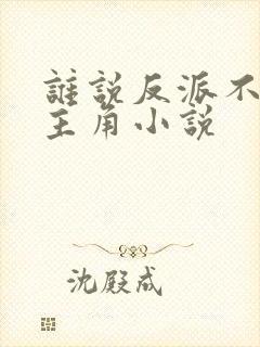 谁说反派不能当主角小说