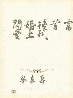 闪婚后首富大佬爱上我