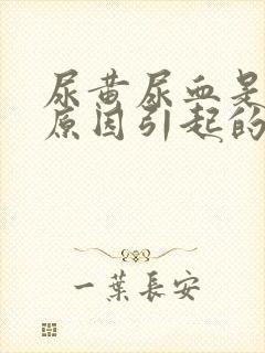 尿黄尿血是什么原因引起的