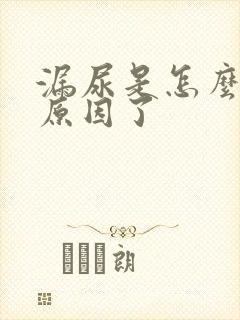 漏尿是怎么什么原因了