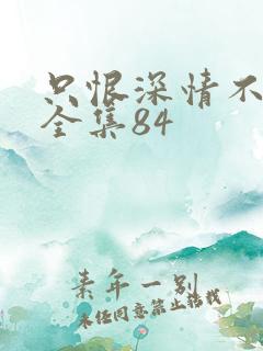 只恨深情不识鸢全集84
