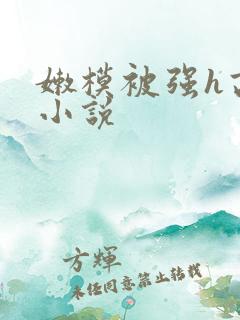 嫩模被强h高h小说