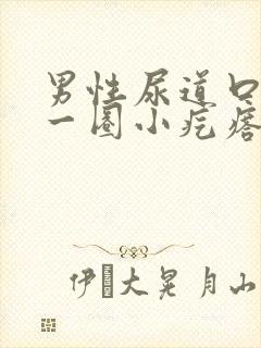 男性尿道口长了一圈小疙瘩