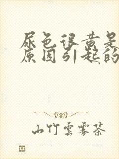 尿色很黄是什么原因引起的