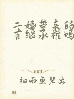 二婚带来的孩子有继承权吗