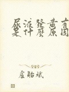 尿液发黄有泡泡是什么原因引起的?