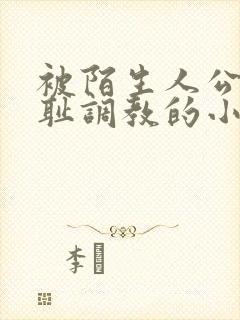 被陌生人公开羞耻调教的小说