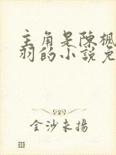 主角是陈枫燕清羽的小说免费阅读