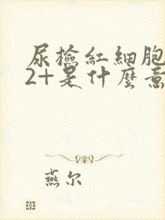 尿检红细胞隐血2+是什么意思