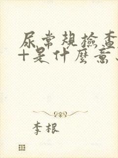 尿常规检查潜血+是什么意思