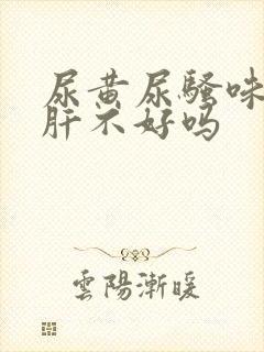 尿黄尿骚味重是肝不好吗