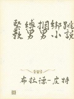 紧缚捆绑跳蛋调教男男小说