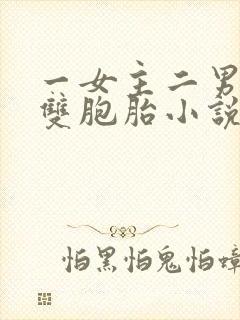 一女主二男主是双胞胎小说