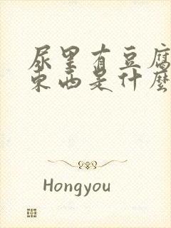 尿里有豆腐渣的东西是什么情况