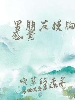 男朋友摸胸什么感觉