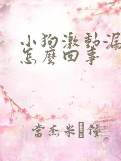 小狗激动漏尿是怎么回事