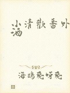 小清欢番外篇哄酒