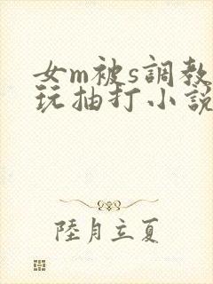 女m被s调教虐玩抽打小说