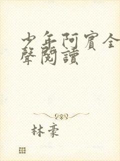 少年阿宾全文有声阅读