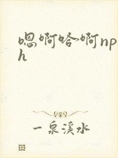 嗯啊哈啊np高h