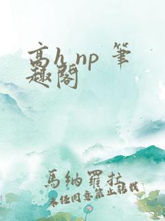高h np 笔趣阁