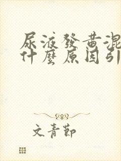 尿液发黄混浊是什么原因引起的