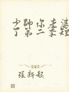 少帅你老婆又跑了第二季短剧