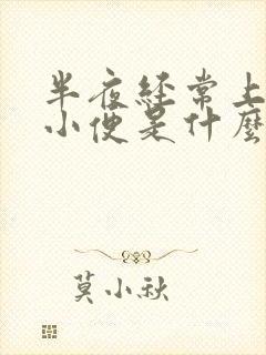 半夜经常上厕所小便是什么原因