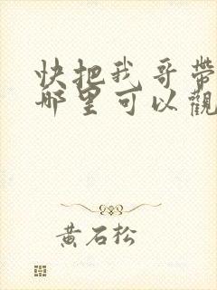 快把我哥带走在哪里可以观看