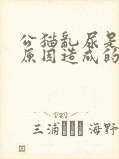 公猫乱尿是什么原因造成的