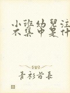 小班幼儿注意力不集中是什么原因