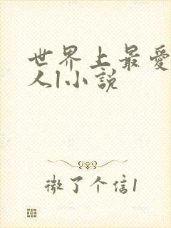 世界上最爱我的人l小说
