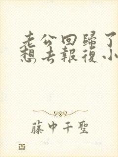 老公回归了我还想去报复小三