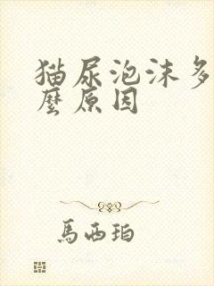 猫尿泡沫多是什么原因