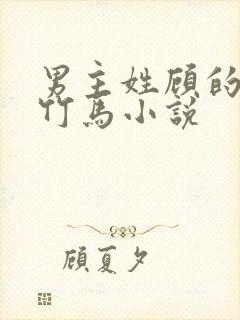 男主姓顾的青梅竹马小说