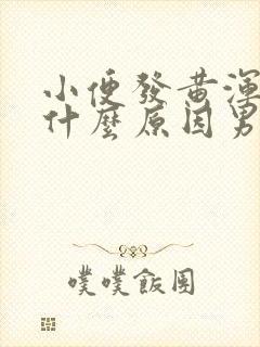 小便发黄浑浊是什么原因男性怎么治疗