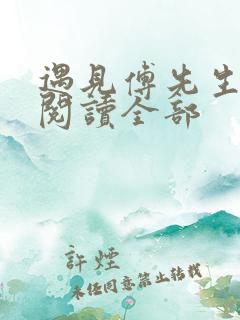 遇见傅先生免费阅读全部