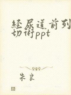 经尿道前列腺电切术ppt