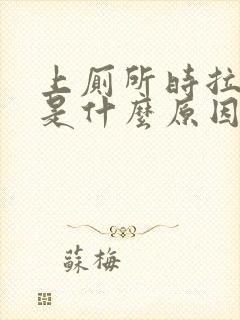 上厕所时拉出血是什么原因