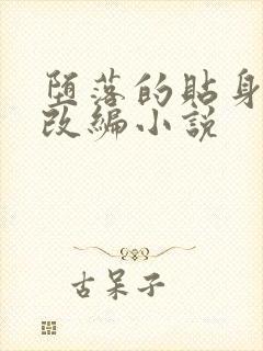 堕落的贴身高手改编小说